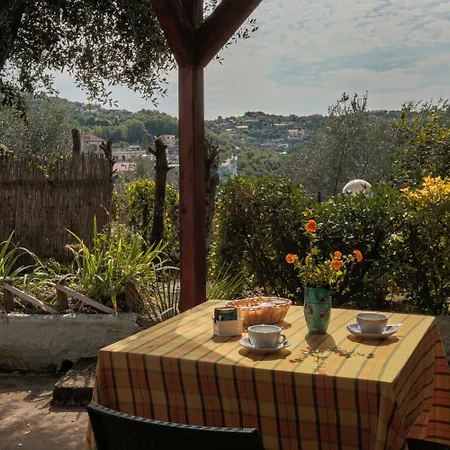 Relais Il Frantoio 4*